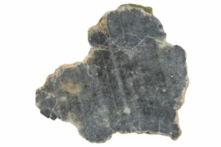 Lunar Meteorite ( g) Slice - Bechar #348182